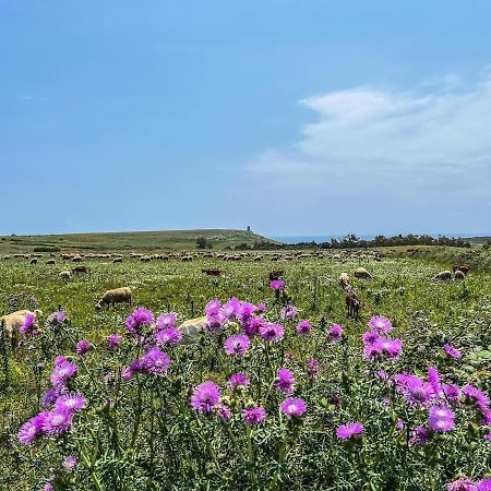 Casetta Degli Ulivi Уджано-ла-К'єза Екстер'єр фото